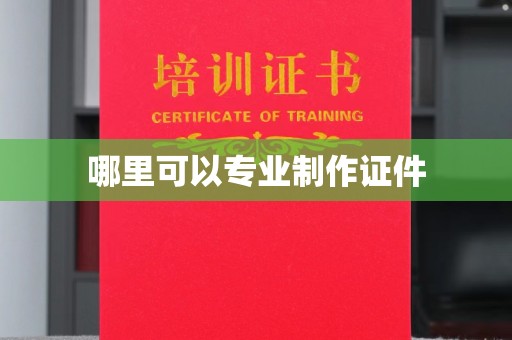 和硕哪里可以专业制作证件