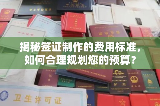 和硕揭秘签证制作的费用标准，如何合理规划您的预算？