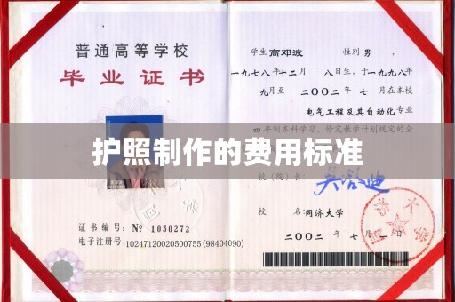 和硕护照制作的费用标准