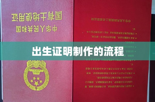 和硕出生证明制作的流程