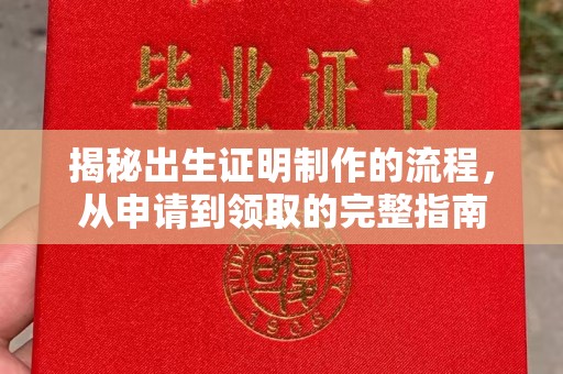 和硕揭秘出生证明制作的流程，从申请到领取的完整指南
