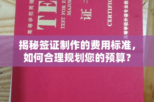 和硕揭秘签证制作的费用标准，如何合理规划您的预算？